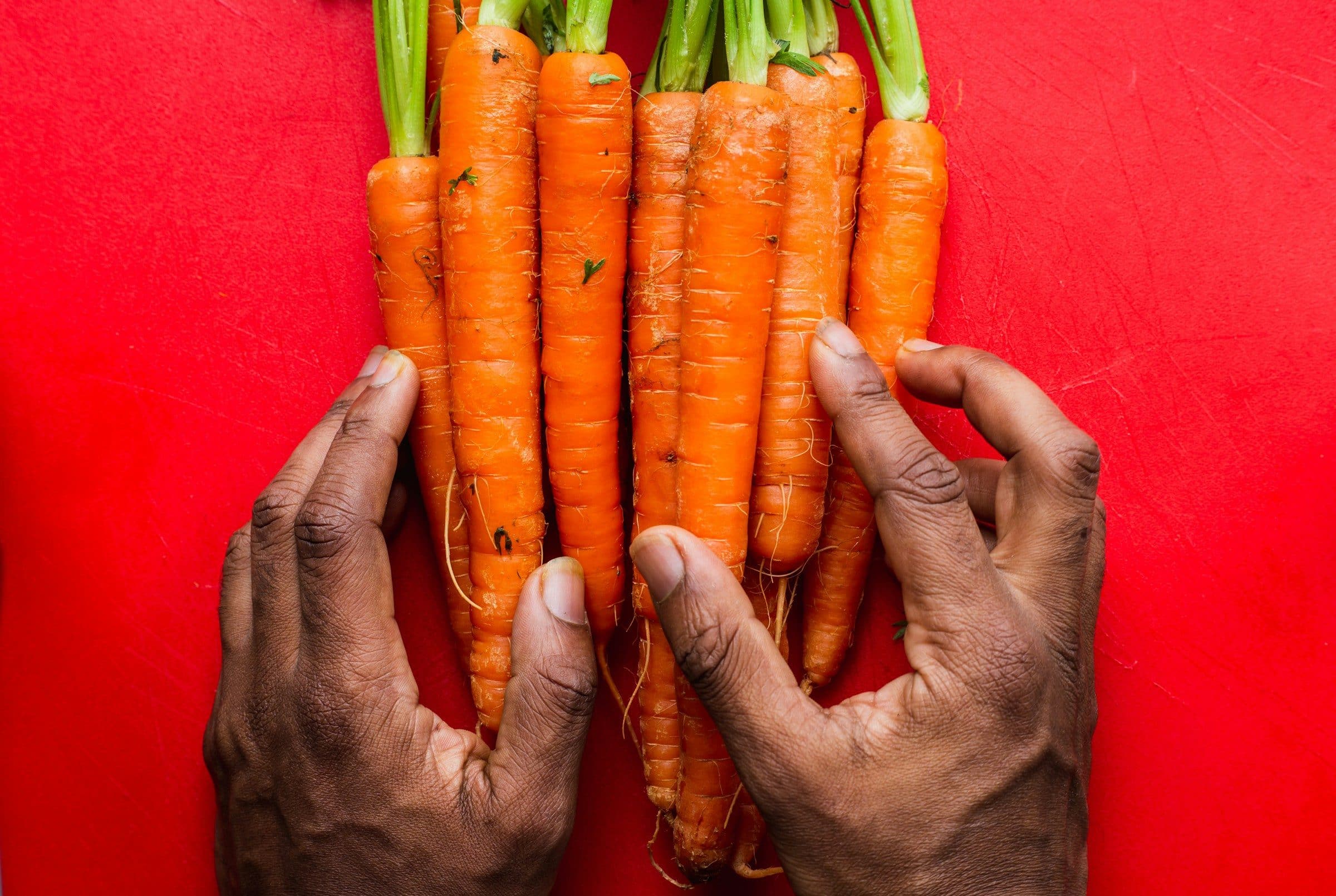 Weathered hands holding a bunch of carrots against a red wall